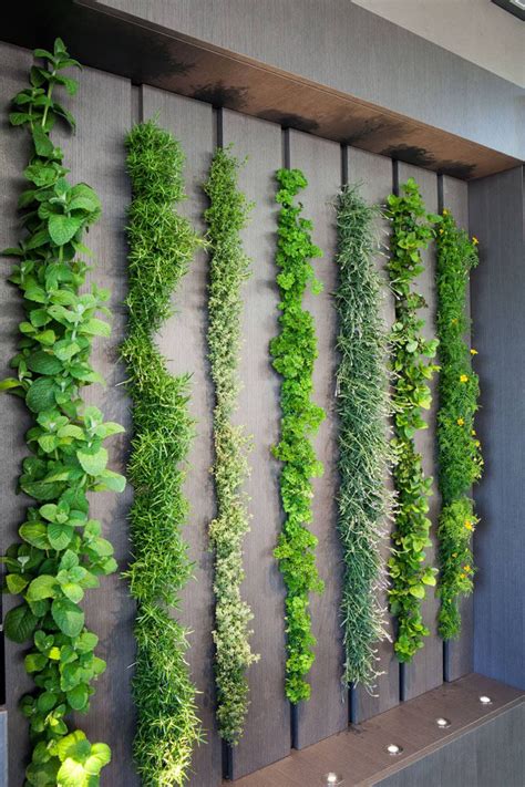 20 Stunning Indoor Living Wall Herb Garden - Home, Family, Style and ...