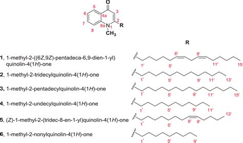 Chemical structure of isolated quinolone alkaloids | Download ...