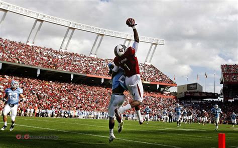 South Carolina Gamecocks Wallpapers (54+ images)