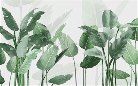 Fresh green tropical leaf wallpaper mural – Artofit