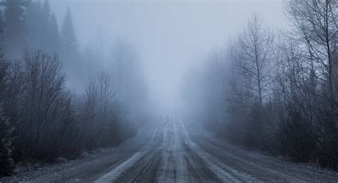 Spooky Fog and Bad Visibility on a Rural Road in Forest - Real Ghost ...