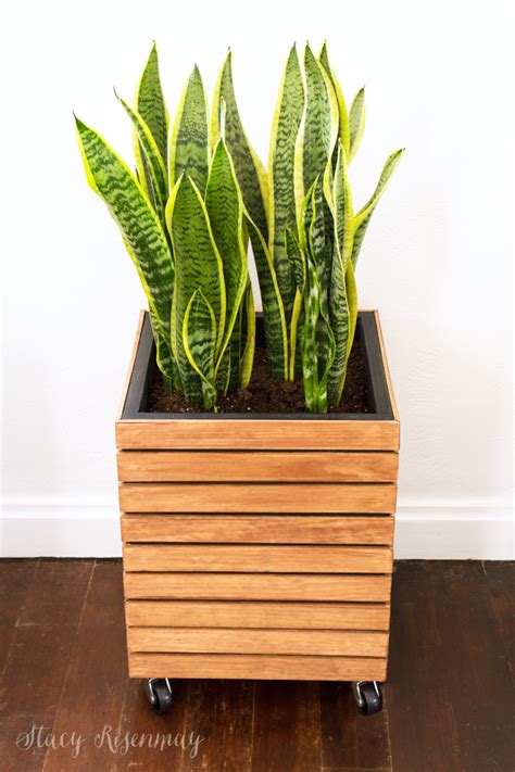 DIY Modern Planter Box - Stacy Risenmay