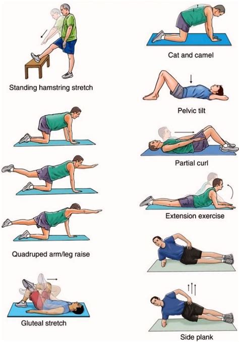 25 best Exercises To Strengthen Back images on Pinterest | Exercises to ...