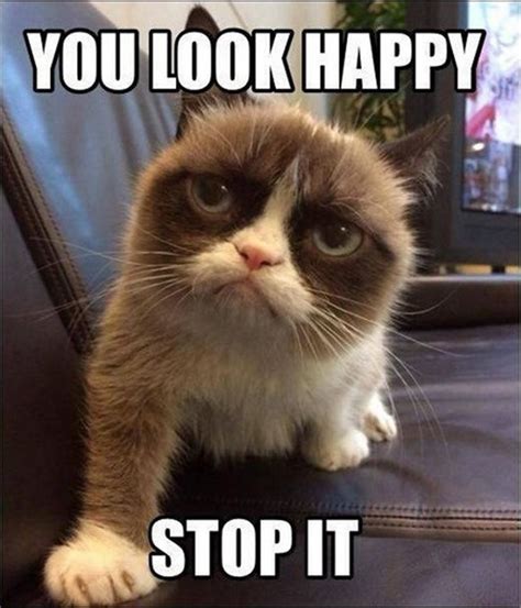 27 Grumpy Cat Memes Monday | Funny grumpy cat memes