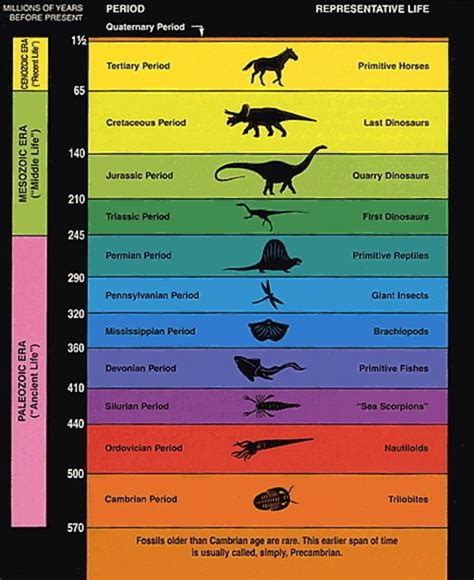 Following the Geological Timeline | Prehistoric Online