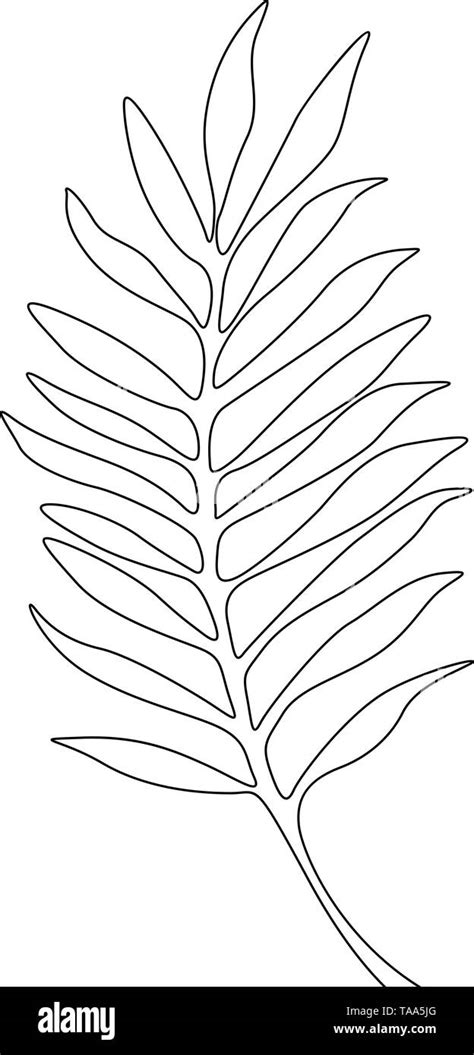 One line drawing areca leaf. Continuous line exotic tropical plant ...