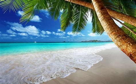 HD wallpaper: Palm trees on paradise, beach illustration, tropical ...