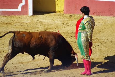 Grab The Bull By The Horns! Bullfighting in Spain | The HoliDaze