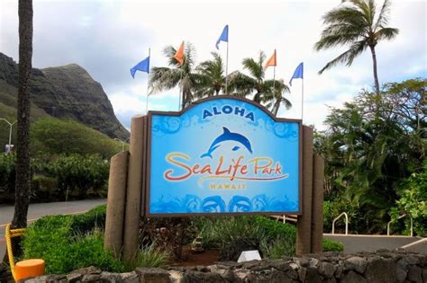 Sea Life Park General Admission – Oahu – Fly Shuttle Tours – #1 Rated ...