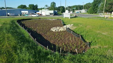 Williams Drive Bioretention Basin Archives - Clean Lakes Alliance