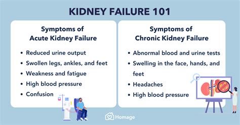 Kidney Failure 101: Symptoms, Stages, Causes & Prevention - Homage Malaysia