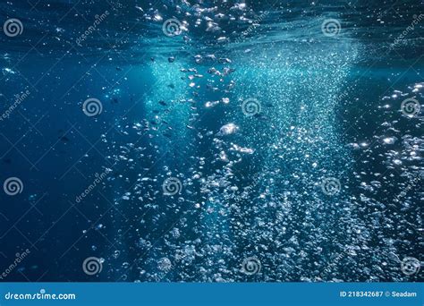 Air Bubbles Underwater in the Ocean Stock Image - Image of rising ...