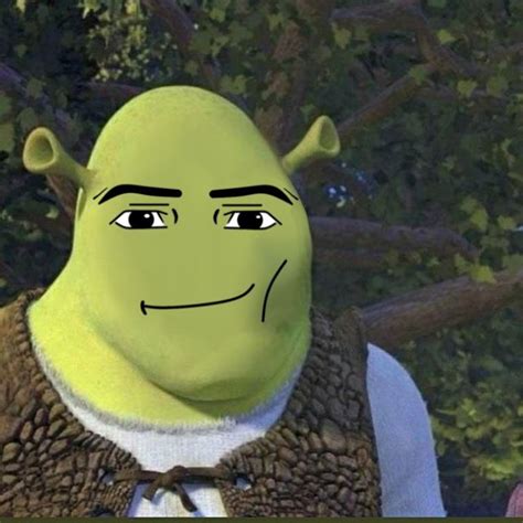 Sherk + roblox man face 😮‍💨 | Shrek funny, Roblox funny, Male face