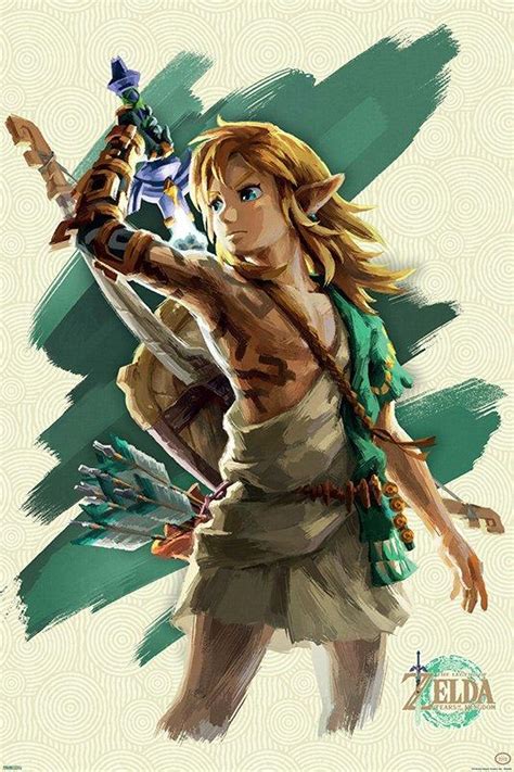 The Legend of Zelda: Tears of the Kingdom Link with Sword 24-in x 36-in ...