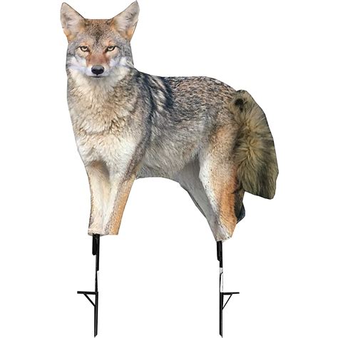 Montana Decoy Company Song Dog Coyote Decoy 0079 - Farmstead Outdoors