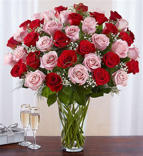 4 Dozen Red and Pink Rose Vase - Xaviers Florist Somerset