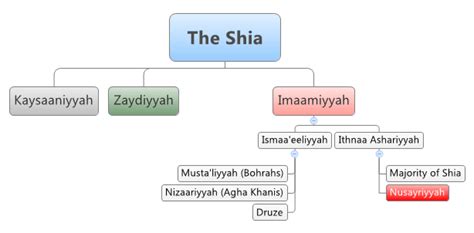 Understanding and Classifying the Various Shia Sects