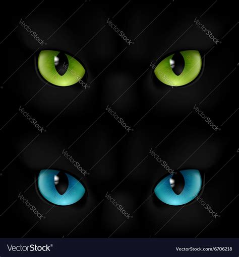 Cats eyes Royalty Free Vector Image - VectorStock