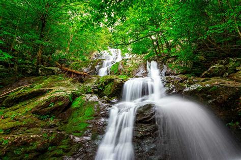 These Shenandoah National Park Trails Are for Every Type of Hiker