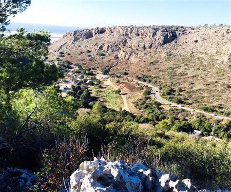 Haifa, Israel. Mount Carmel National Park (With images) | National ...