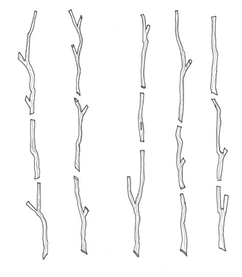 Twig Clipart Black And White