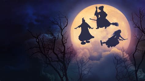 1366x768 Hocus Pocus 2 Movie 1366x768 Resolution Wallpaper, HD Movies ...