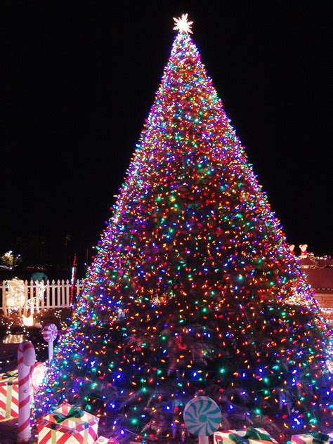 11 Awesome And Dazzling Christmas Tree Lights Ideas - Awesome 11