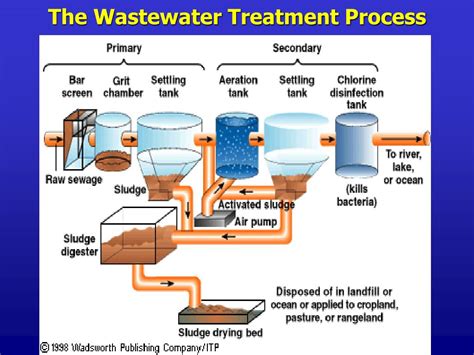 PPT - Water Purification and Wastewater Treatment PowerPoint ...