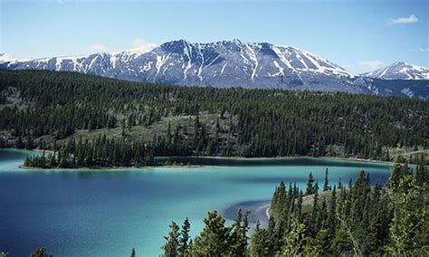 Climate - Taiga/Boreal Biome