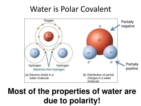 PPT - Unit 4: The Hydrosphere PowerPoint Presentation - ID:2833261