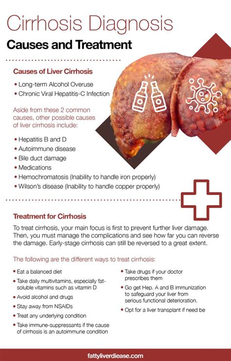 Cirrhosis Diagnosis: Causes and Treatment - Fatty Liver Disease