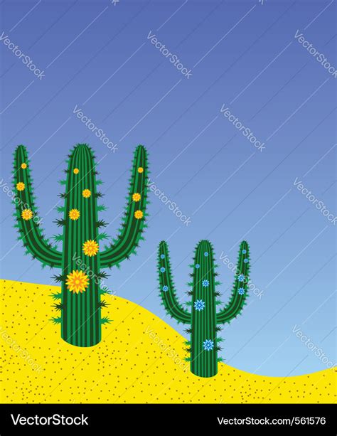 Desert cactus Royalty Free Vector Image - VectorStock