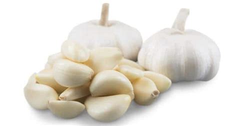 Eat garlic to lower your bad LDL cholesterol | TheHealthSite.com