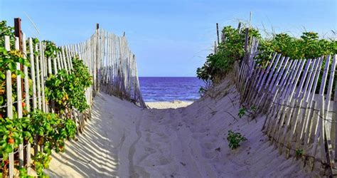 12 Best Beaches in the Hamptons