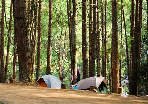 RV and tent camping in the Comox Valley