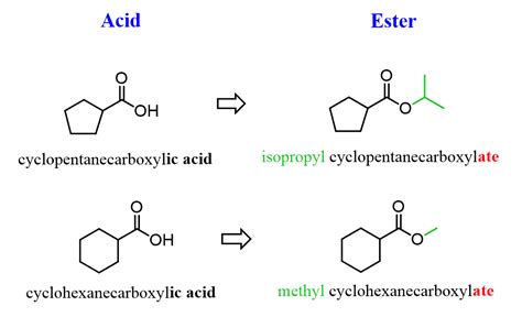 Ester Functional Group Examples