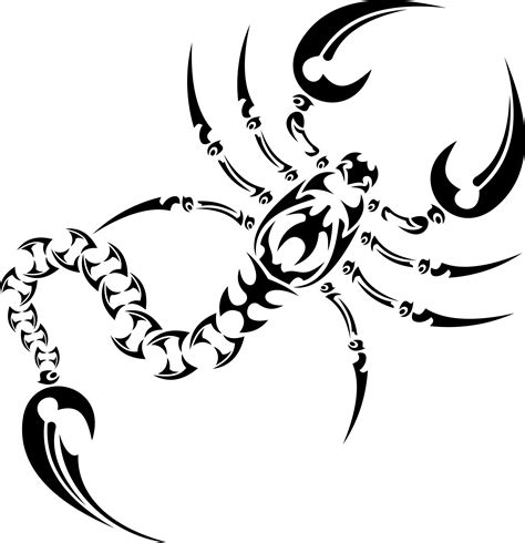 Scorpion Tattoo Drawing at GetDrawings | Free download