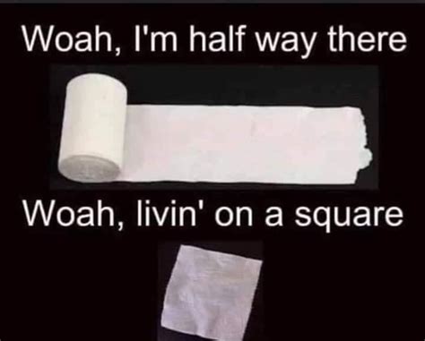 20 Hilarious Toilet Paper Memes To Wipe Away Boredom