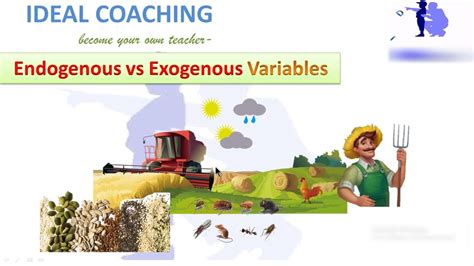 EXOGENOUS VS ENDOGENOUS VARIABLES (ENGLISH) - YouTube