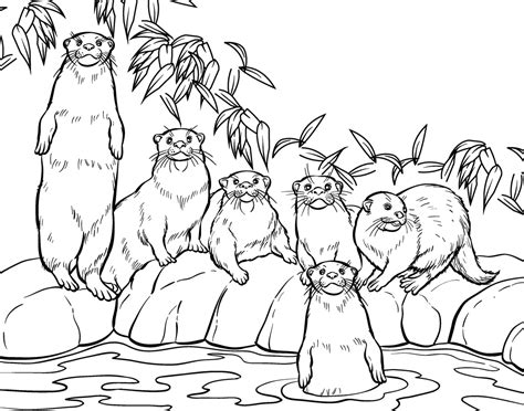 Free Sea Otter Coloring Page, Download Free Sea Otter Coloring Page png ...