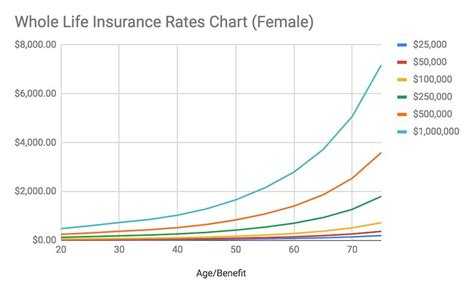 How can you find the best life insurance rates? – foodidentityblog