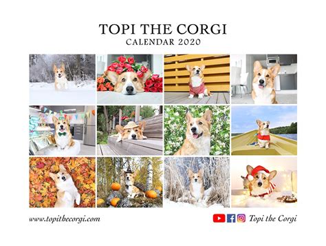 Topi the Corgi - Shop