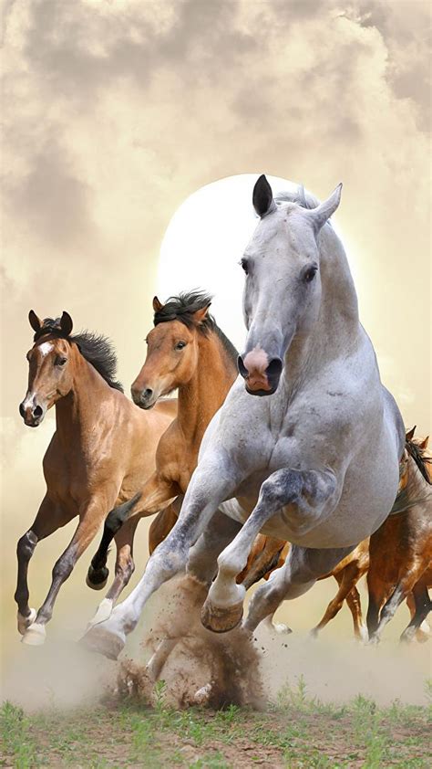 Top more than 87 horse wallpaper iphone super hot - in.coedo.com.vn