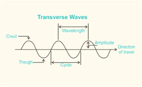 Amplitude Of A Transverse Wave