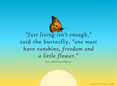 36 Butterfly Quotes That Will Inspire and Motivate You