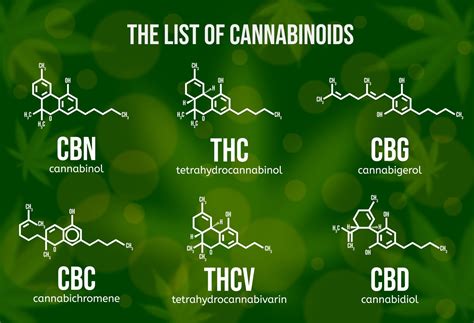 Spotlight on CBN (Cannabinol) - Your Natural Healthcare