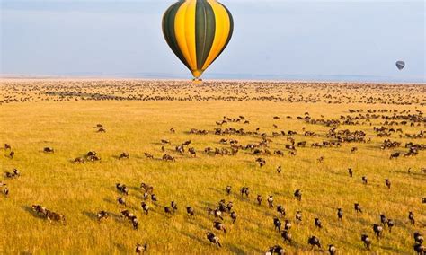 Hot Air Balloon Masai Mara - Safari With Us