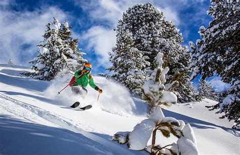 5 Top Resorts for Tree Skiing Around the World - Ship Skis Blog