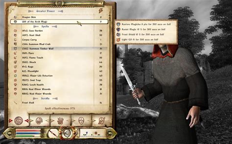 mods - How to make Spell list in Oblivion smaller? - Arqade
