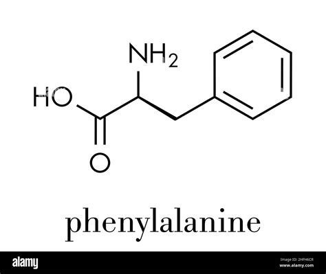 Phenylalanine (l-phenylalanine, Phe, F) amino acid molecule. Skeletal ...